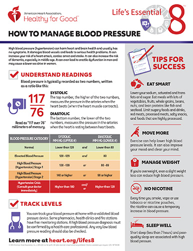 Blood pressure monitor and healthy lifestyle elements